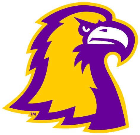 Tennessee Tech Golden Eagles 2006-Pres Alternate Logo v4 diy DTF decal sticker